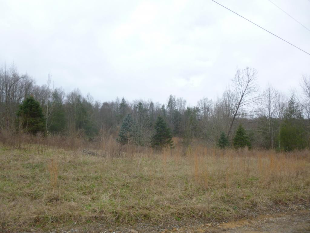 412 Cannon Loop Chuckey, TN 37641 - Photo 6 of 32 Photo 6