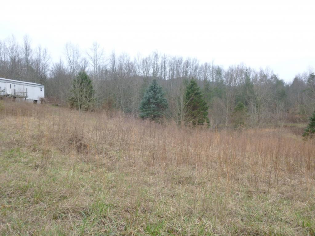 412 Cannon Loop Chuckey, TN 37641 - Photo 7 of 32 Photo 7