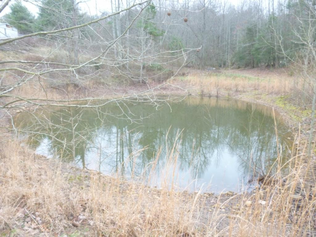 412 Cannon Loop Chuckey, TN 37641 - Photo 8 of 32 Photo 8