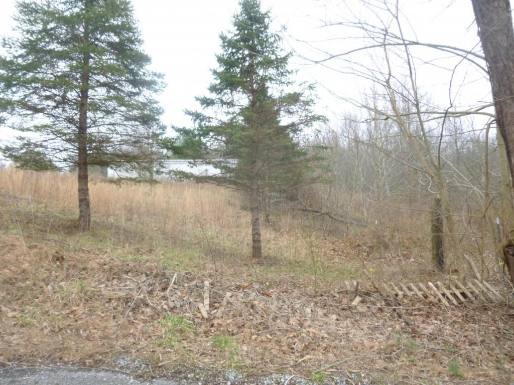 412 Cannon Loop Chuckey, TN 37641 - Photo 10 of 32 Photo 10