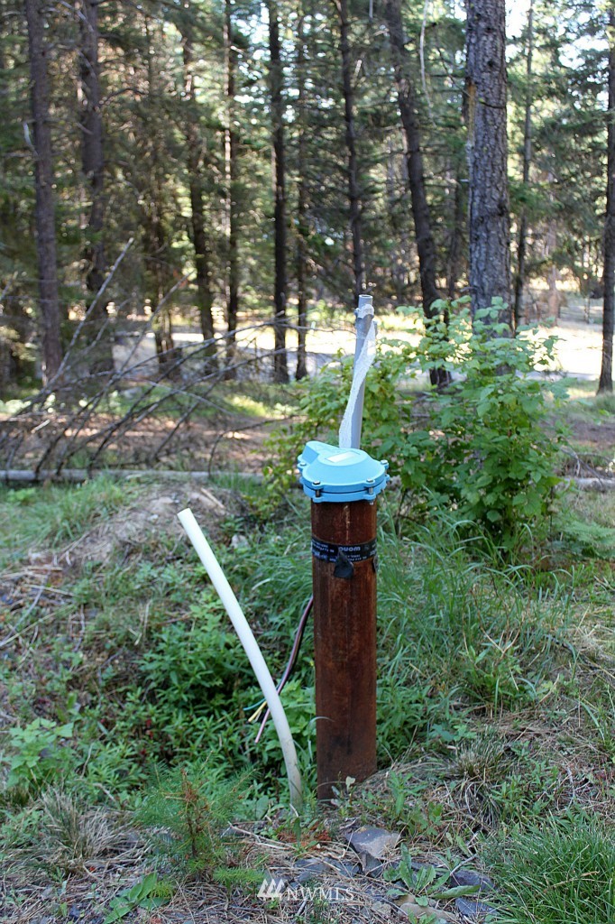 1101 Sandy Ridge Road Cle Elum, WA 98922 - Photo 6 of 9 Gallery Image 6