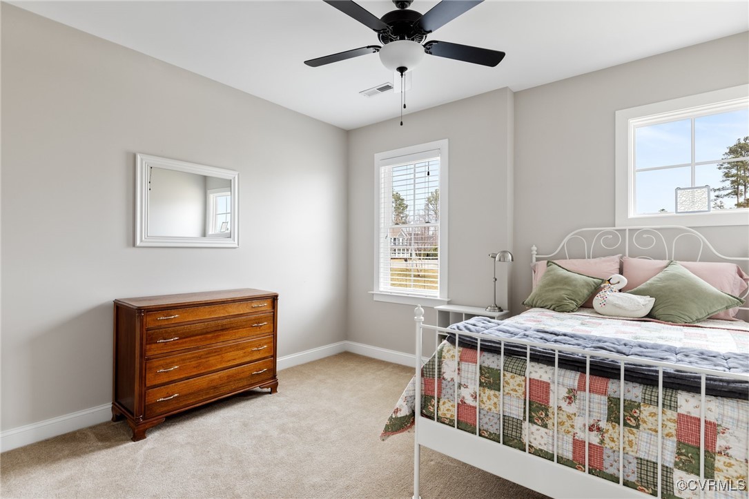 15806 Old Castle Road Midlothian, VA 23112 - Photo 29 of 49 Gallery Image 29