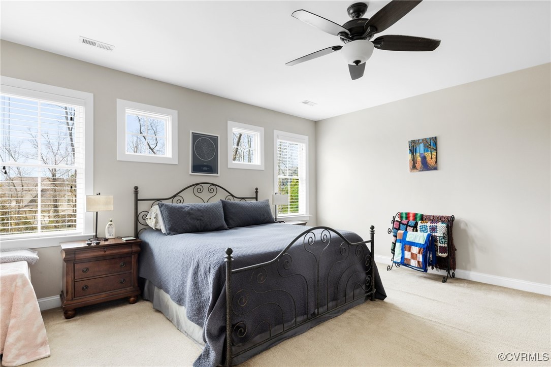 15806 Old Castle Road Midlothian, VA 23112 - Photo 30 of 49 Gallery Image 30