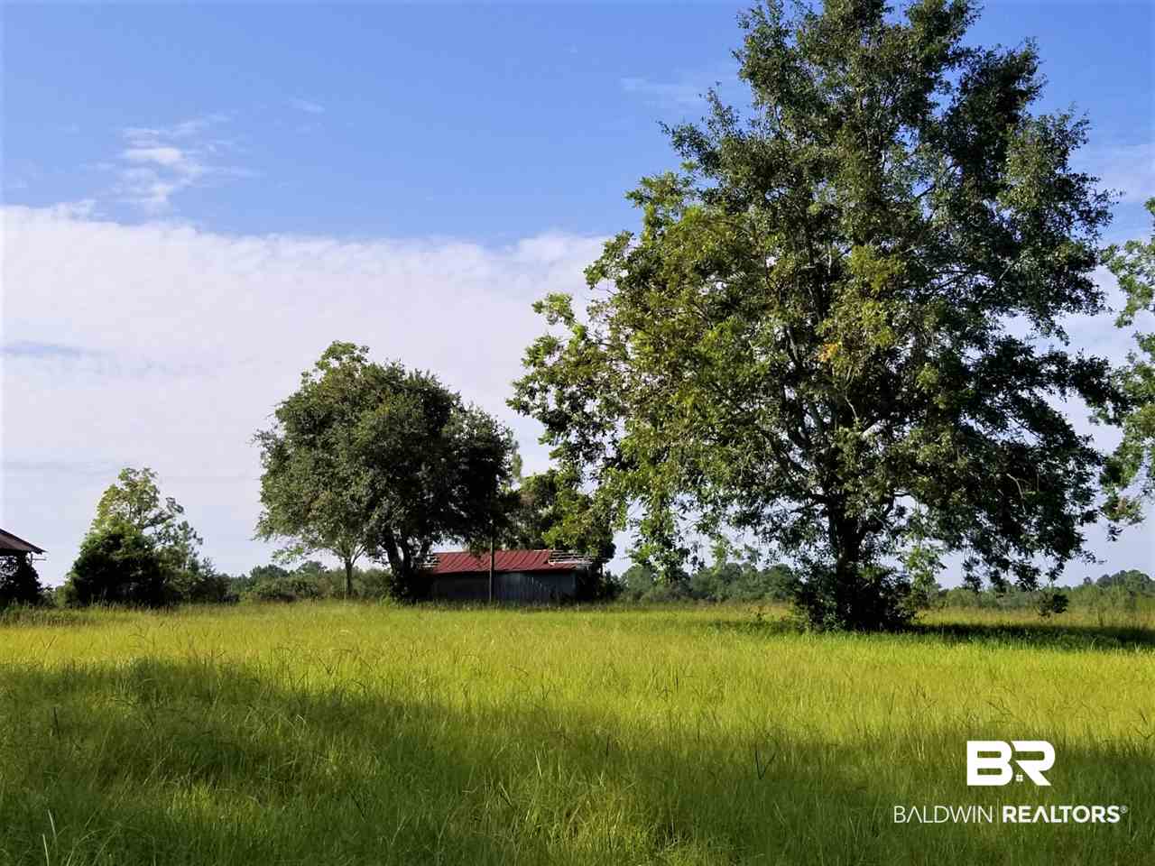 14760 County Road 64 Loxley, AL 36551 - Photo 4 of 19