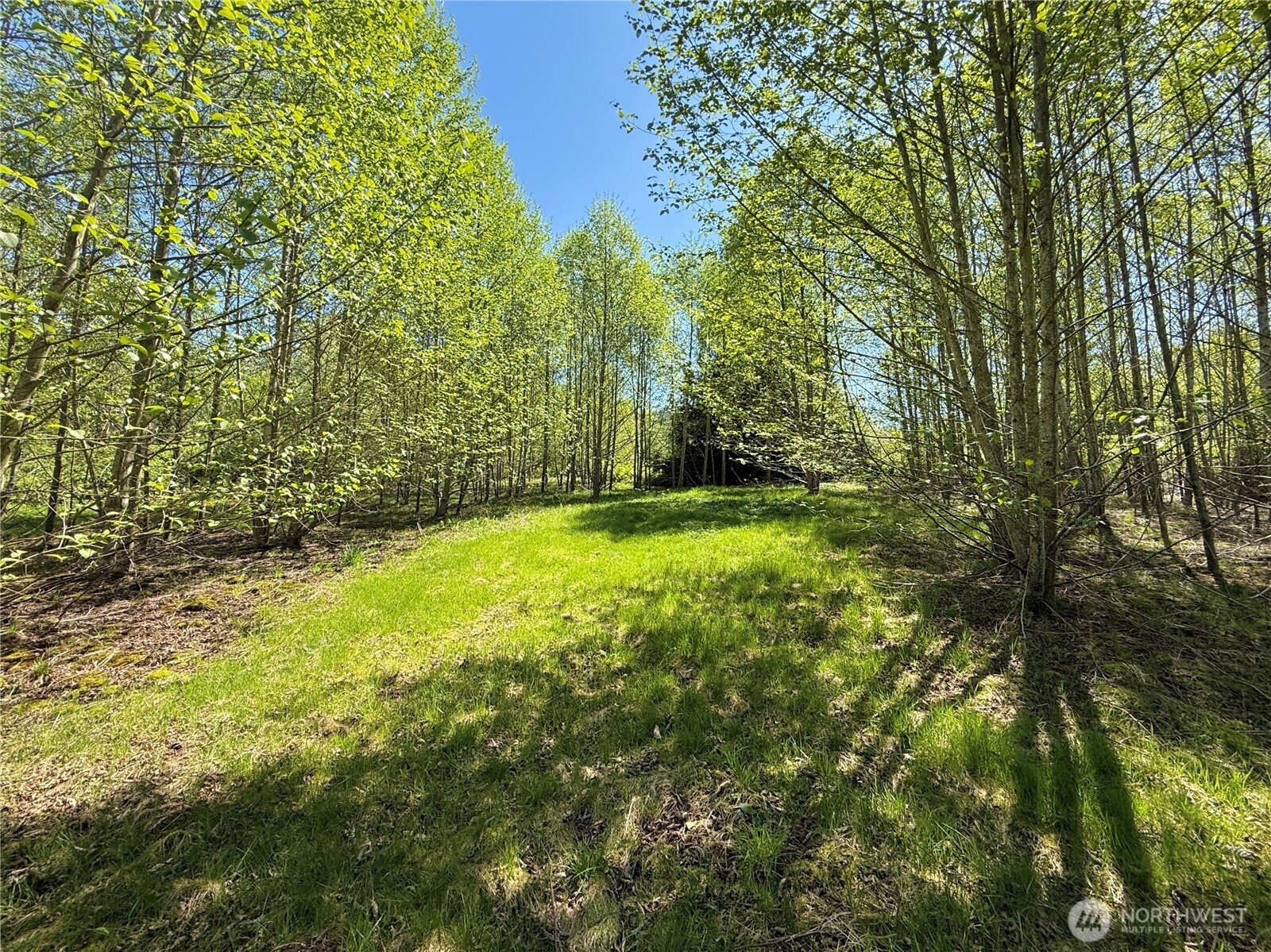 3809 Cabrant Road Everson, WA 98247 - Photo 36 of 40 Gallery Image 36