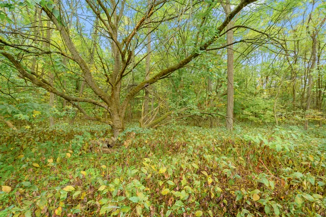 $160,000 | 310 Cedar Street, Decatur, MI 49045