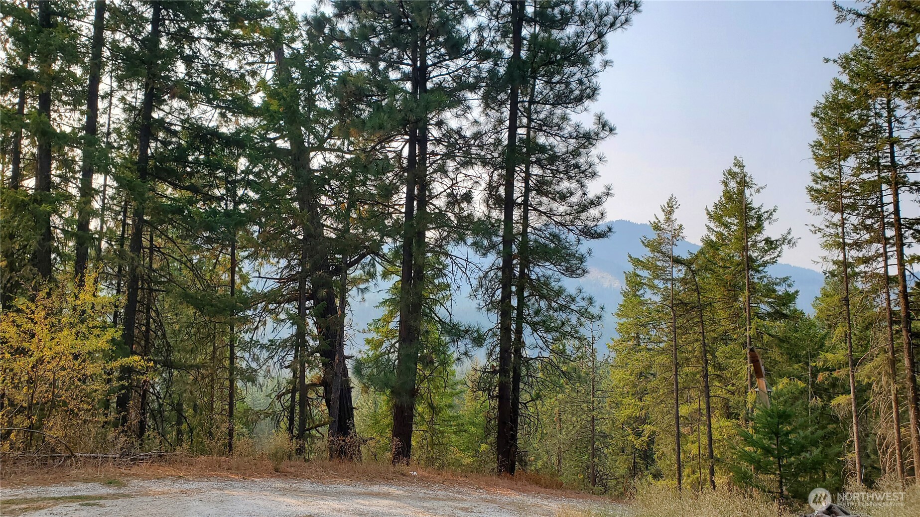 25619 Camp 12 Road Leavenworth, WA 98826 - Photo 25 of 29 a view of forest