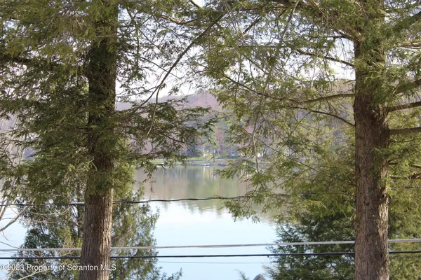 a view of a lake with a tree