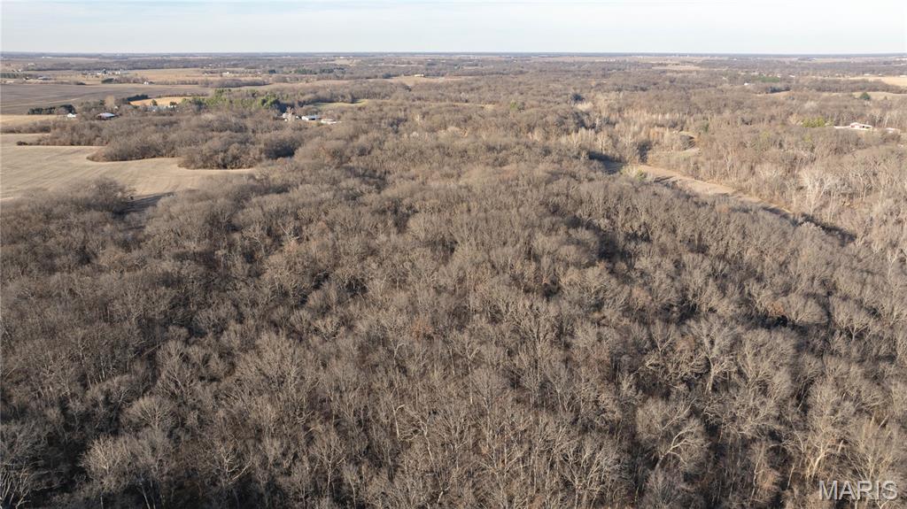 3305 Brown Road Brighton, IL 62012 - Photo 11 of 61