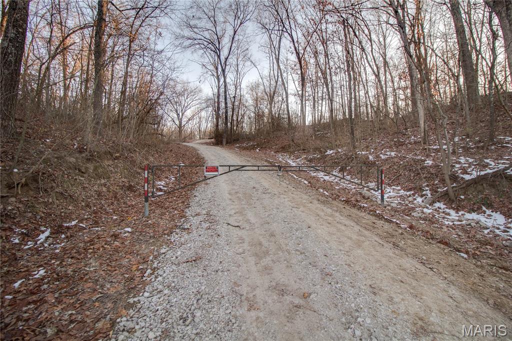 3305 Brown Road Brighton, IL 62012 - Photo 18 of 61