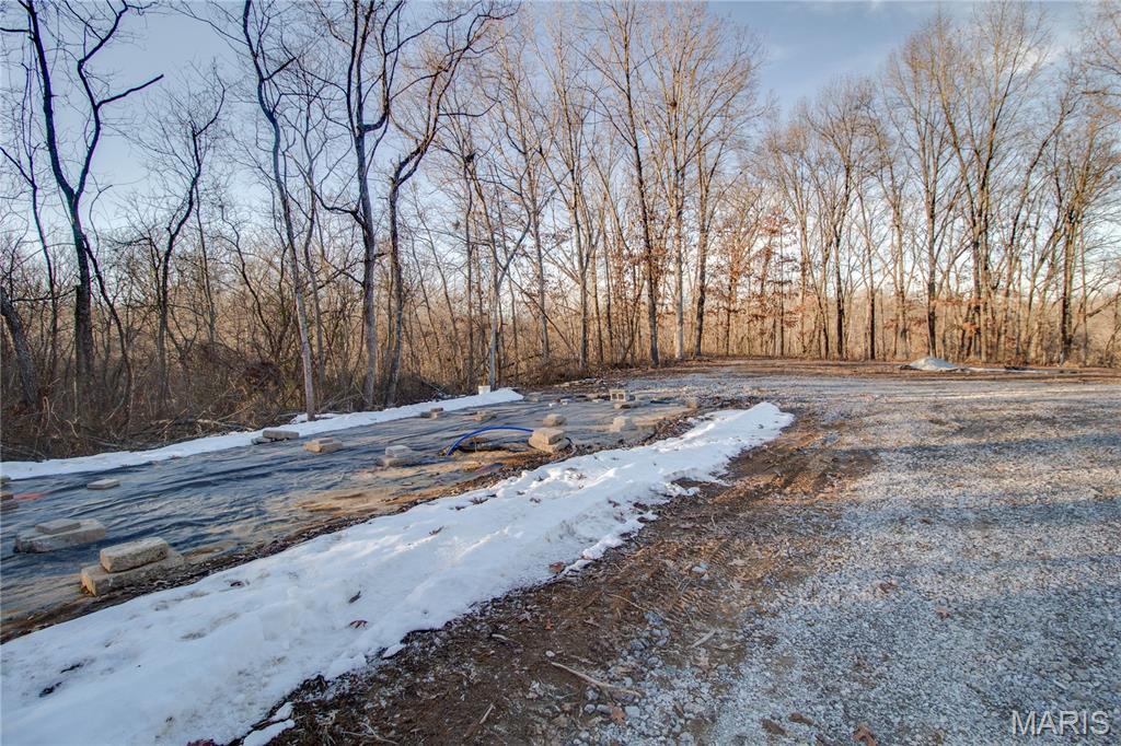 3305 Brown Road Brighton, IL 62012 - Photo 19 of 61