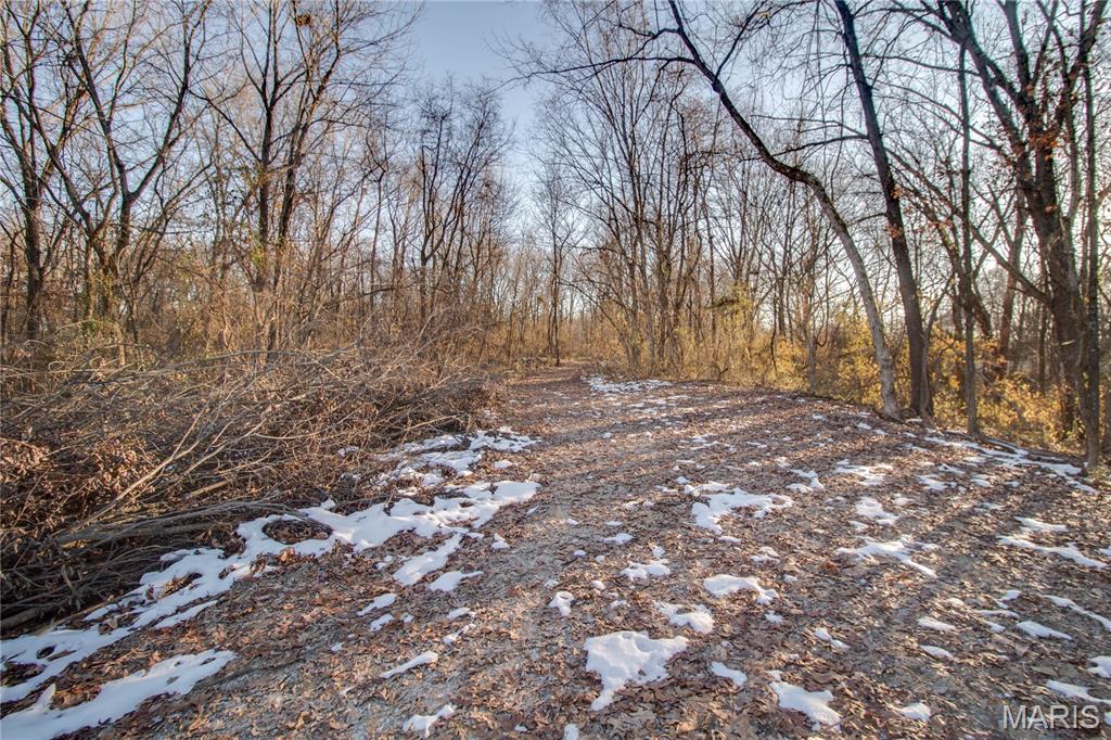 3305 Brown Road Brighton, IL 62012 - Photo 22 of 61