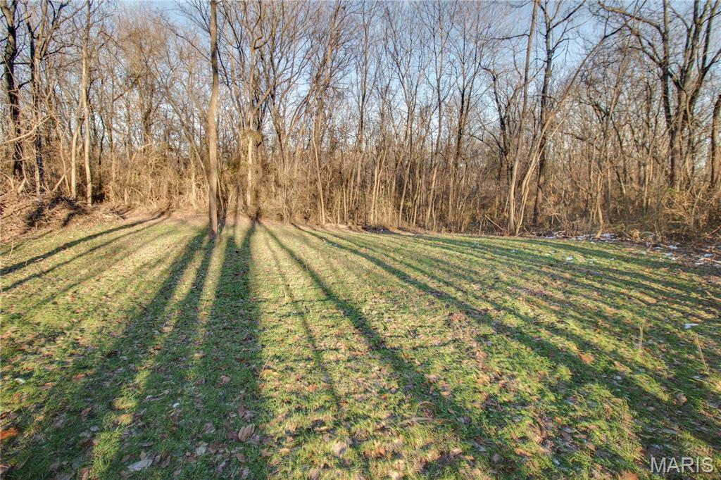 3305 Brown Road Brighton, IL 62012 - Photo 24 of 61