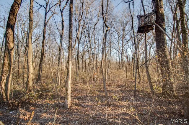 $250,000 | 3305 Brown Road, Brighton, IL 62012