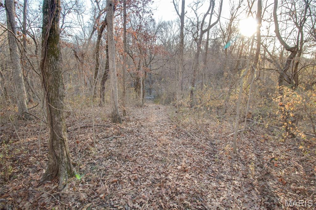 3305 Brown Road Brighton, IL 62012 - Photo 27 of 61