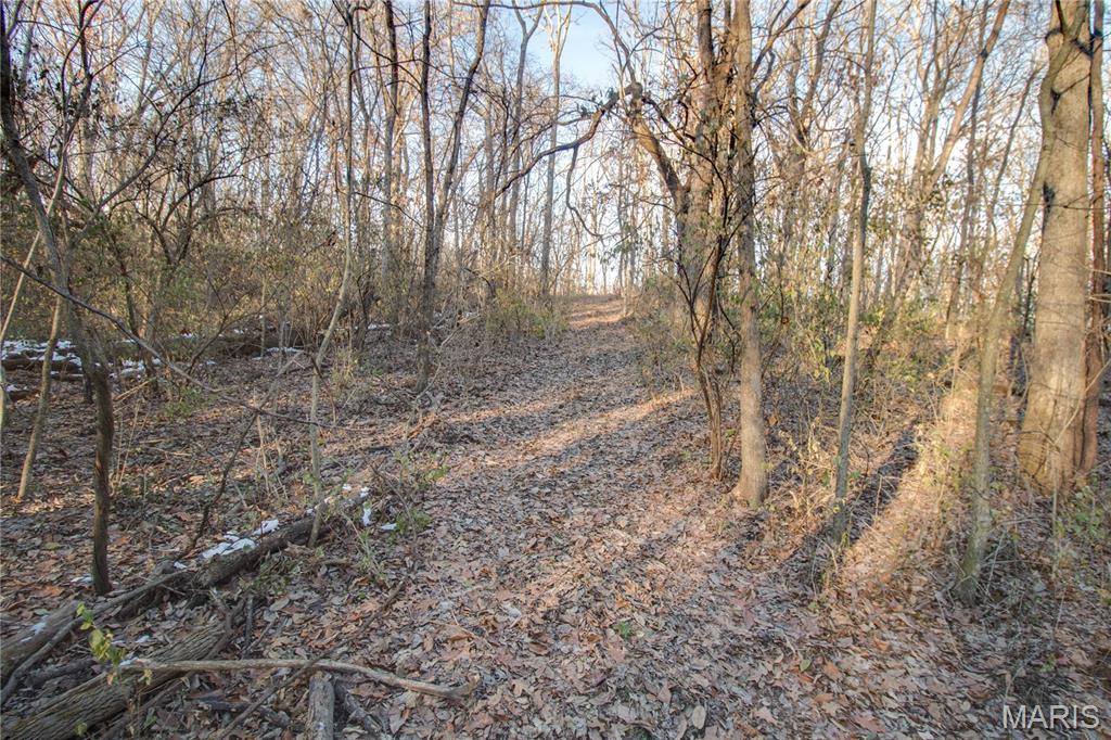 3305 Brown Road Brighton, IL 62012 - Photo 28 of 61