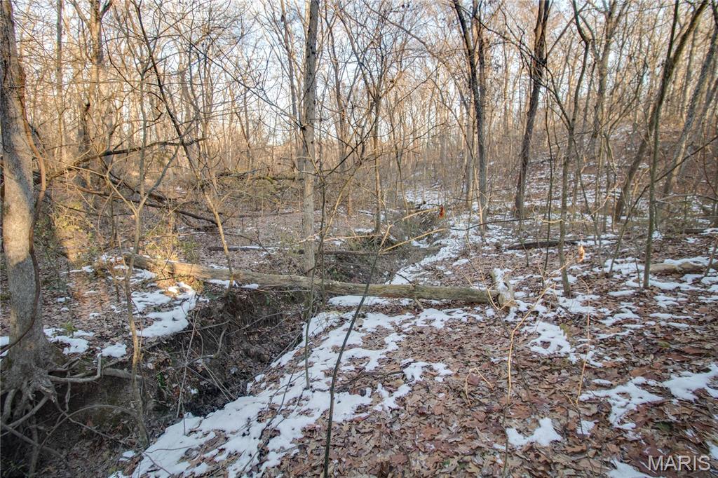 3305 Brown Road Brighton, IL 62012 - Photo 29 of 61