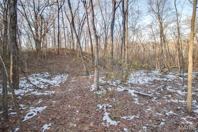 $250,000 | 3305 Brown Road, Brighton, IL 62012