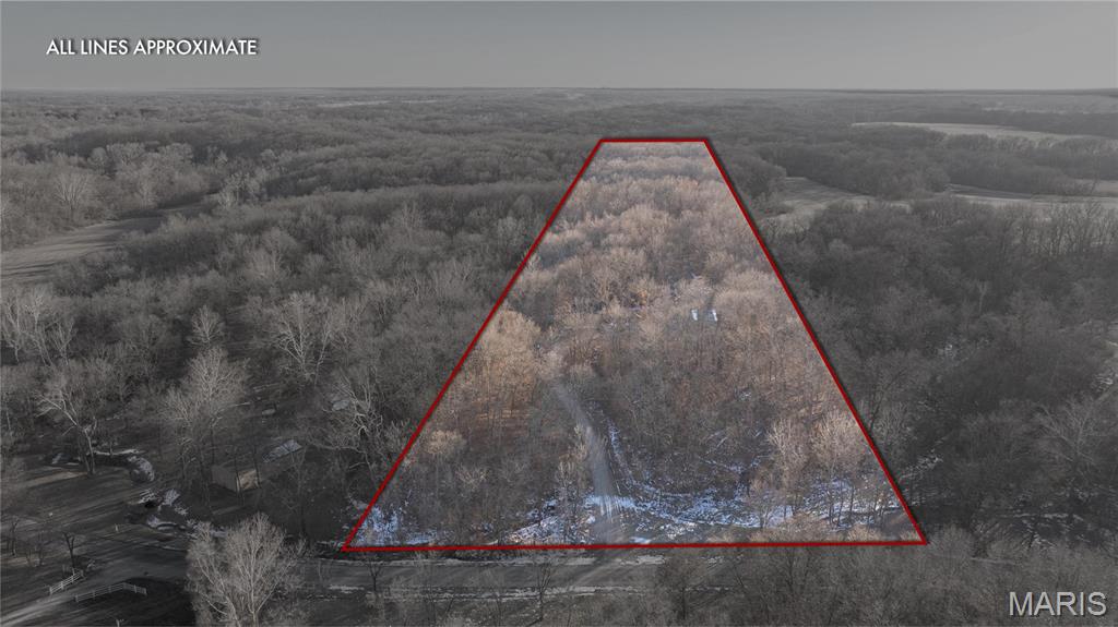 3305 Brown Road Brighton, IL 62012 - Photo 3 of 61