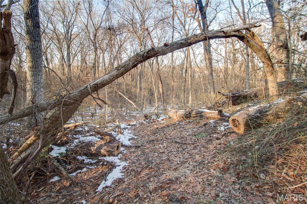 3305 Brown Road Brighton, IL 62012 - Photo 31 of 61