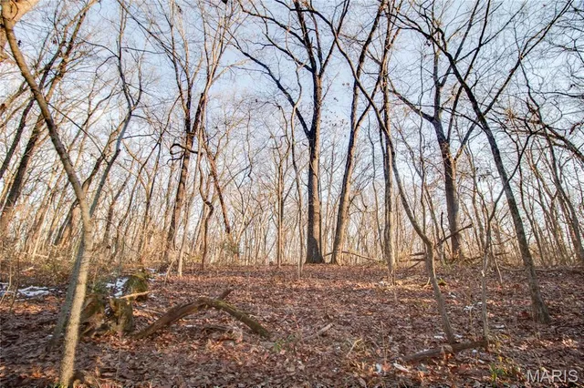 $250,000 | 3305 Brown Road, Brighton, IL 62012