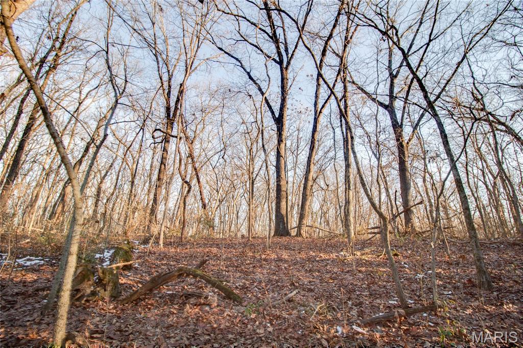 3305 Brown Road Brighton, IL 62012 - Photo 32 of 61