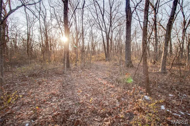 $250,000 | 3305 Brown Road, Brighton, IL 62012