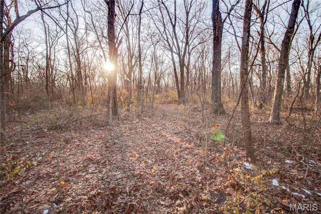 3305 Brown Road Brighton, IL 62012 - Photo 33 of 61