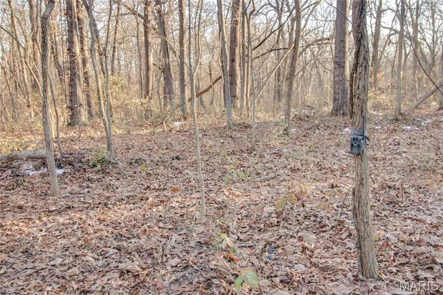 $250,000 | 3305 Brown Road, Brighton, IL 62012