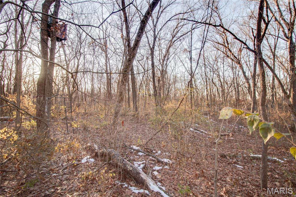 3305 Brown Road Brighton, IL 62012 - Photo 35 of 61