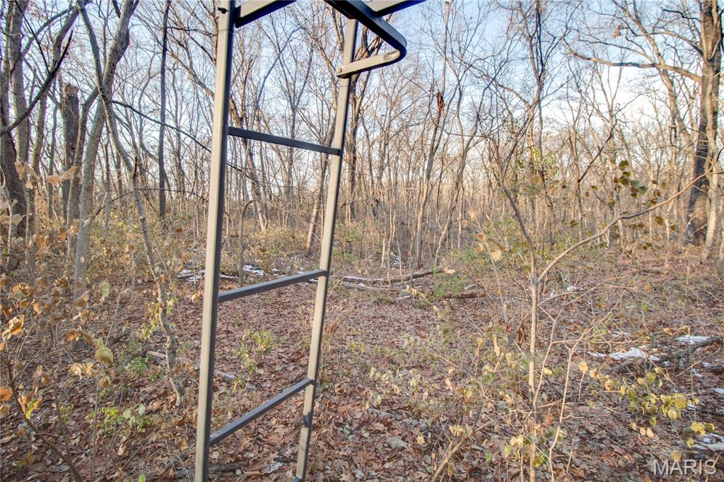 3305 Brown Road Brighton, IL 62012 - Photo 36 of 61