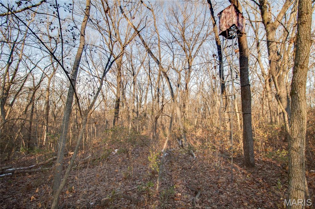 3305 Brown Road Brighton, IL 62012 - Photo 37 of 61