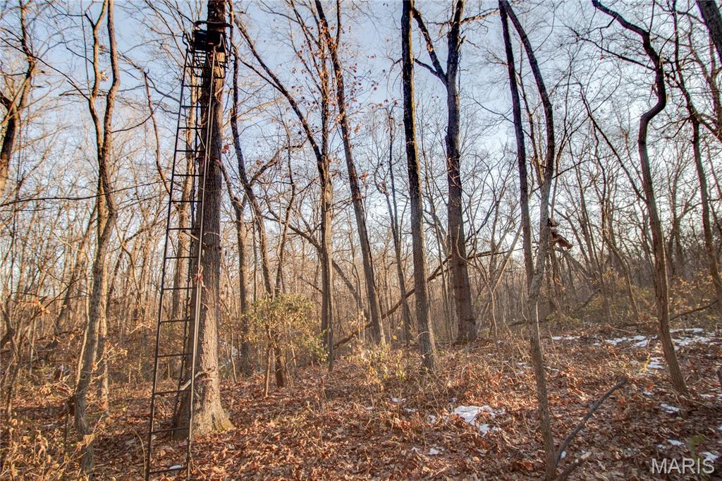 3305 Brown Road Brighton, IL 62012 - Photo 39 of 61