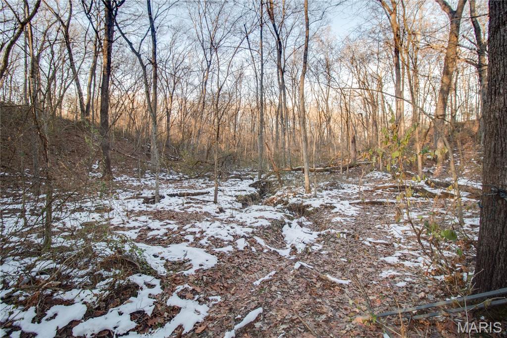 3305 Brown Road Brighton, IL 62012 - Photo 40 of 61