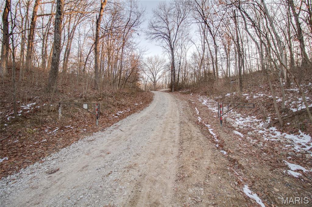 3305 Brown Road Brighton, IL 62012 - Photo 41 of 61