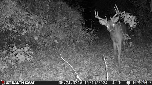 3305 Brown Road Brighton, IL 62012 - Photo 42 of 61