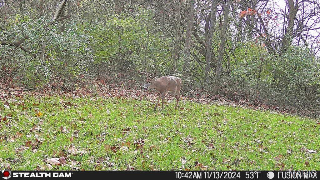 3305 Brown Road Brighton, IL 62012 - Photo 44 of 61