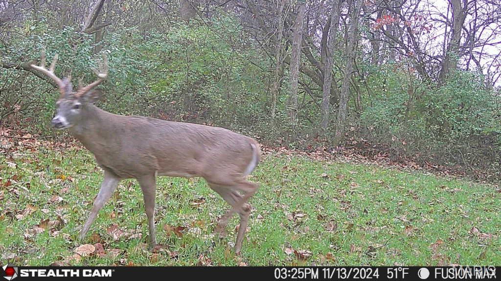 3305 Brown Road Brighton, IL 62012 - Photo 45 of 61