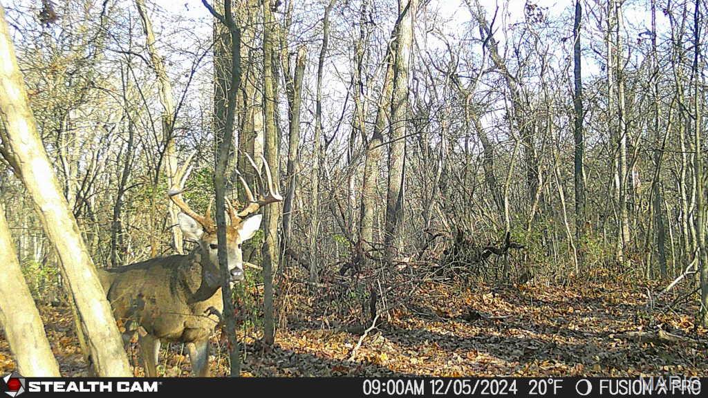 3305 Brown Road Brighton, IL 62012 - Photo 47 of 61