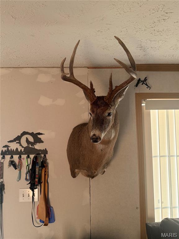 3305 Brown Road Brighton, IL 62012 - Photo 48 of 61