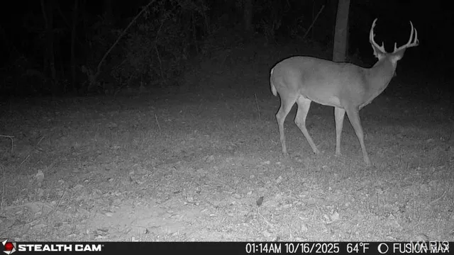 $250,000 | 3305 Brown Road, Brighton, IL 62012