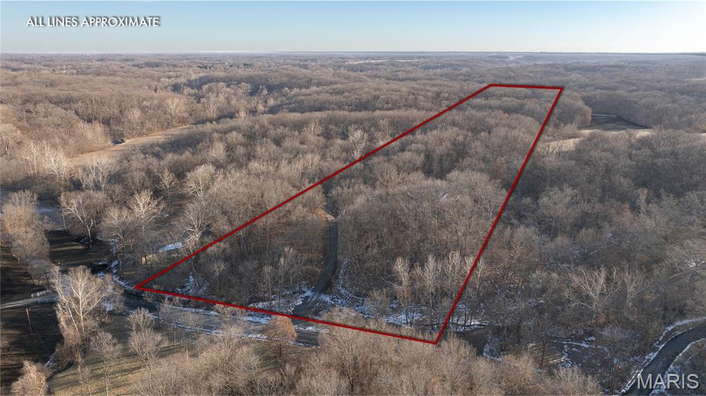 3305 Brown Road Brighton, IL 62012 - Photo 5 of 61