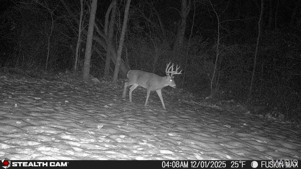 3305 Brown Road Brighton, IL 62012 - Photo 54 of 61