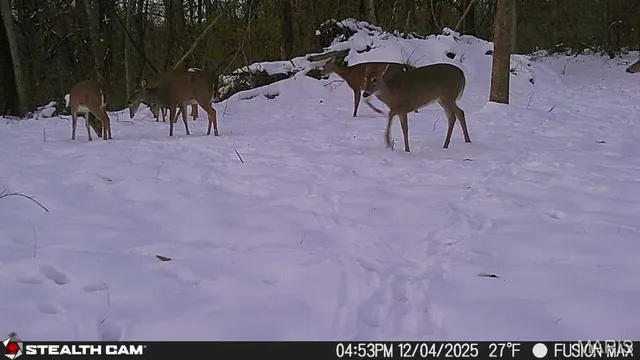 $250,000 | 3305 Brown Road, Brighton, IL 62012