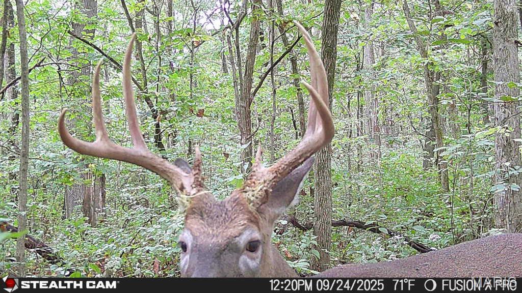 3305 Brown Road Brighton, IL 62012 - Photo 60 of 61