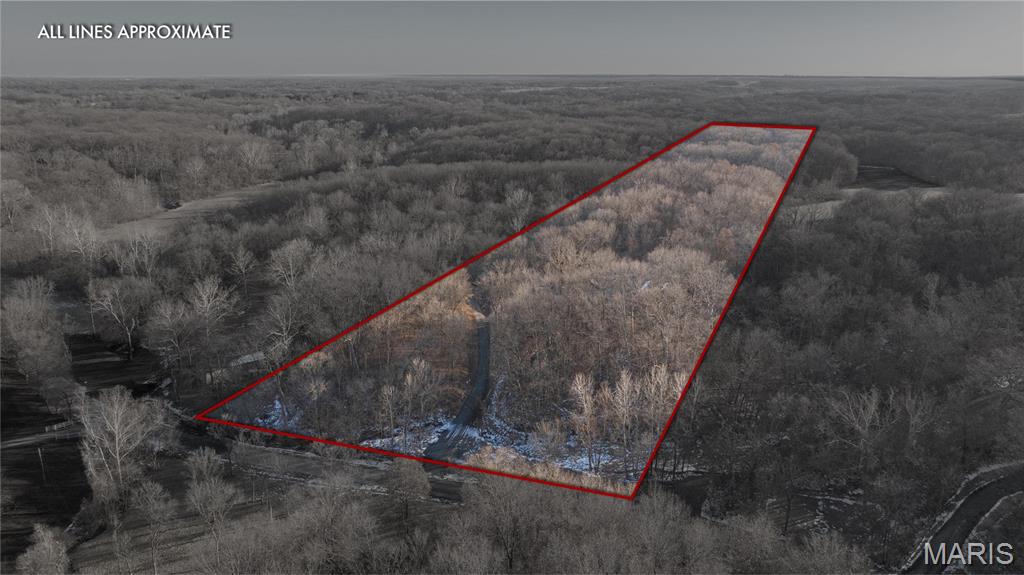 3305 Brown Road Brighton, IL 62012 - Photo 6 of 61