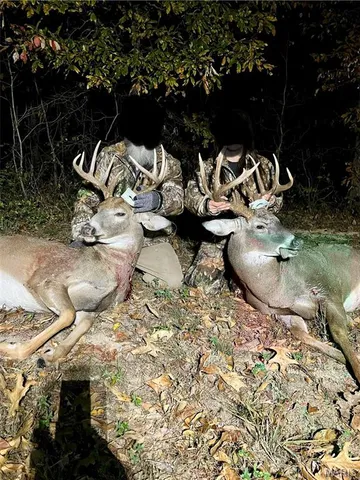 $250,000 | 3305 Brown Road, Brighton, IL 62012