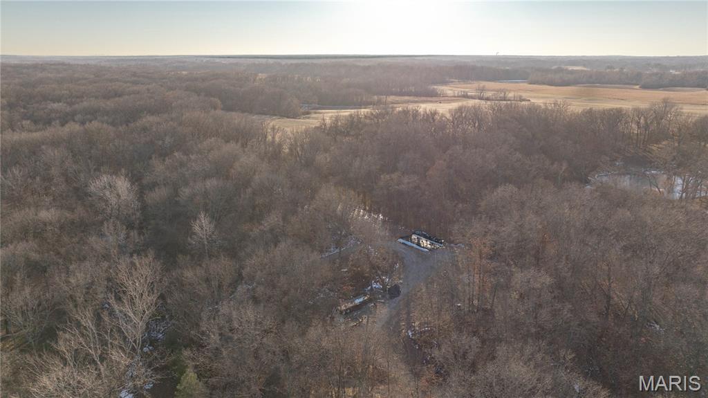 3305 Brown Road Brighton, IL 62012 - Photo 8 of 61