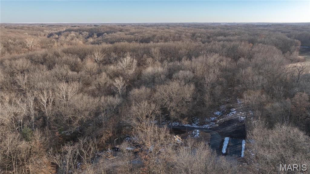 3305 Brown Road Brighton, IL 62012 - Photo 9 of 61