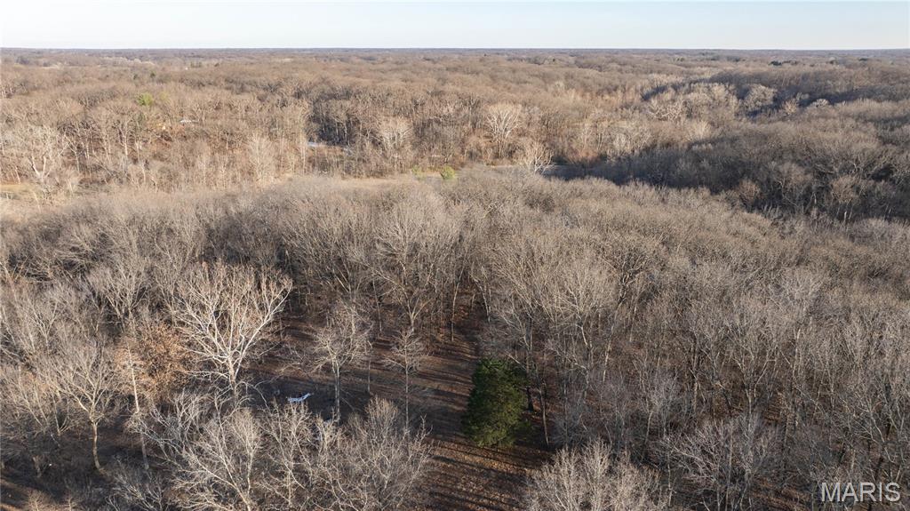 3305 Brown Road Brighton, IL 62012 - Photo 10 of 61